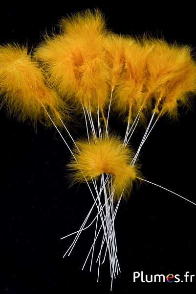 Panicule 3 plumes - hauteur 36 cm - curry
